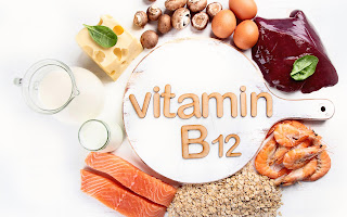 High Vitamin b-12 foods